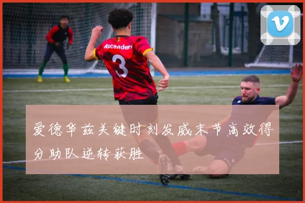 爱德华兹关键时刻发威末节高效得分助队逆转获胜